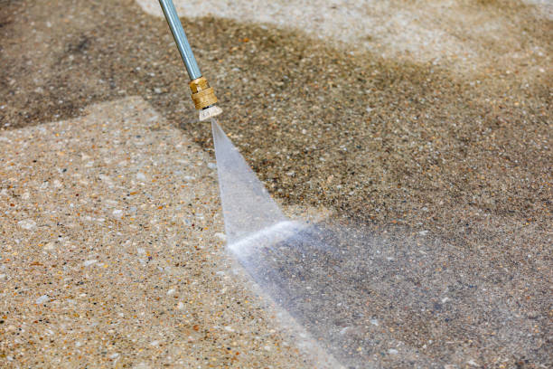 Best Dumpster Area Cleaning  in Sterling Heights, MI